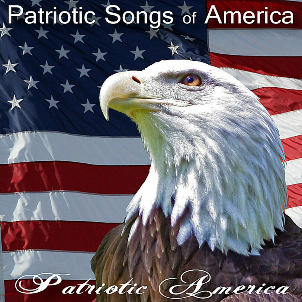 1970 год символ сша. Символы США. Орел США. Орел символ Америки. Флаг США С орлом.