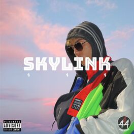Album cover of Skylink