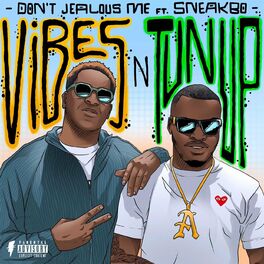 Album cover of Vibes n Tunup (feat. Sneakbo)