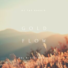 Album cover of Gold Flow