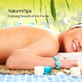 Album cover of Nature's Spa: Calming Sounds of the Forest
