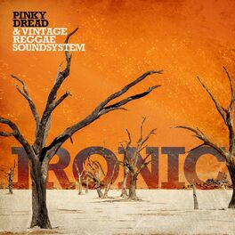 Album cover of Ironic