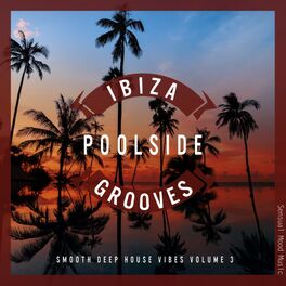 Album cover of Ibiza Poolside Grooves, Vol. 3
