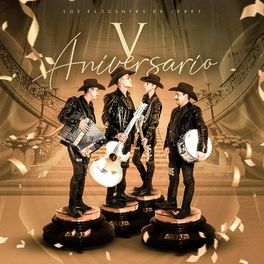 Album cover of V Aniversario