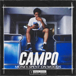 Album cover of Money Spent on Woods