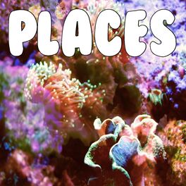 Album cover of Places (Tribute to Martin Solveig)