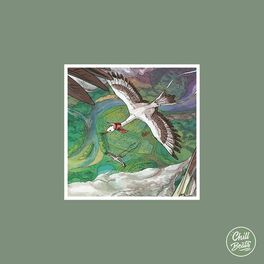 Album cover of Birds Fly