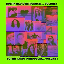 Album cover of Bostin Radio Introduces, Vol. 1