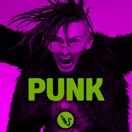 Album cover of Punk