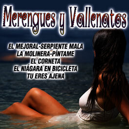 Album cover of Merengues Y Vallenatos