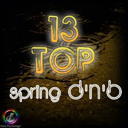 Album cover of 13 Top Spring D'n'B