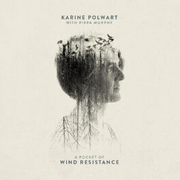 Album cover of A Pocket Of Wind Resistance
