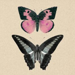 Album cover of Papillons