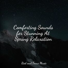 Album cover of Comforting Sounds for Stunning At Spring Relaxation