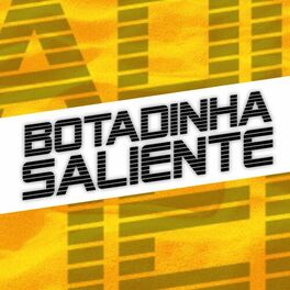 Album cover of Botadinha Saliente Versão BH