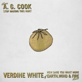 Album cover of Stop Making This Hurt (A. G. Cook Remix) / How Dare You Want More (Verdine White of Earth, Wind & Fire Remix)