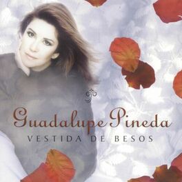 Album cover of Vestida De Besos