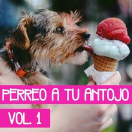 Album cover of Perreo A Tú Antojo Vol. 1