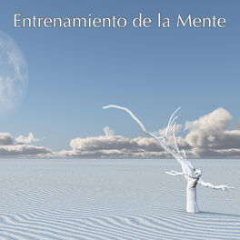 Album cover of Entrenamiento de la Mente – Música Lenta y Canciones Relajantes para Aumentar el Poder de la Mente