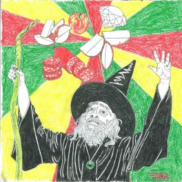 Album cover of Wizard Cuts