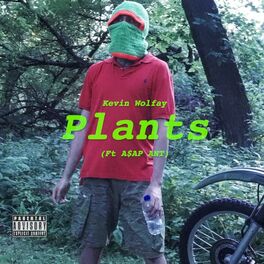 Album cover of Plants