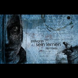 Album cover of Sein Lernen Remixes