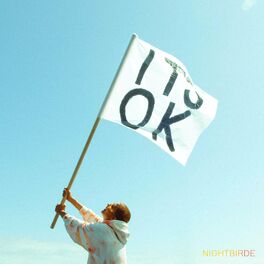 Album cover of IT'S OK