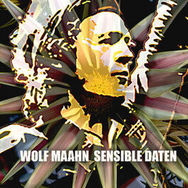 Album cover of Sensible Daten