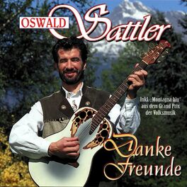 Album cover of Danke Freunde