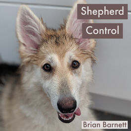 Album cover of Shepherd Control