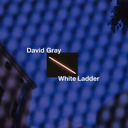 Album cover of White Ladder (20th Anniversary Edition)