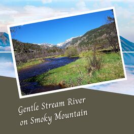 Album cover of Gentle Stream River on Smoky Mountain - 3 Hours