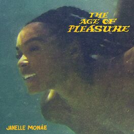 Album cover of The Age of Pleasure