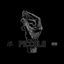 Album cover of Booska Piccolo