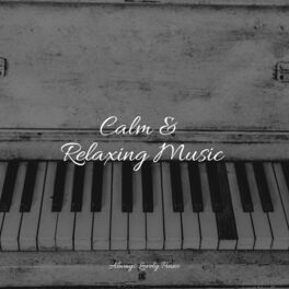 Album cover of 50 Piano Pieces for Ultimate Relaxation and Focused Work