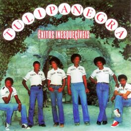 Album cover of Tulipa Negra - Exitos Inesqueciveis