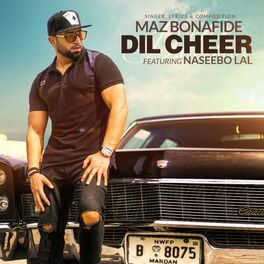 Album cover of Dil Cheer (feat. Naseebo Lal)
