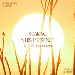 Album cover of The Intercessor