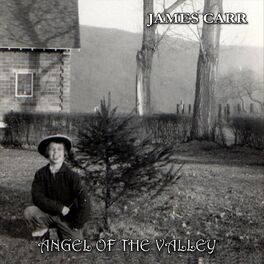 Album cover of Angel of the Valley