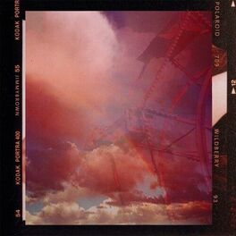 Album cover of Polaroid