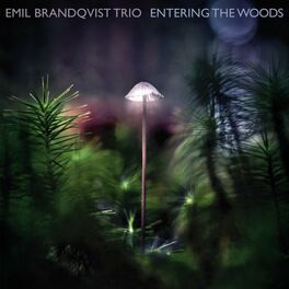 Album cover of Entering the Woods