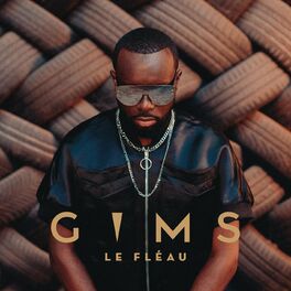 Album cover of LE FLÉAU