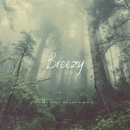 Album cover of Breezy