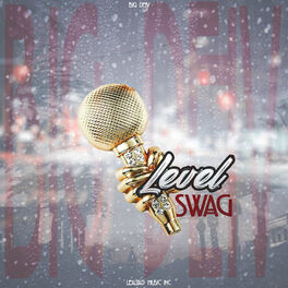 Album cover of Level y Swag
