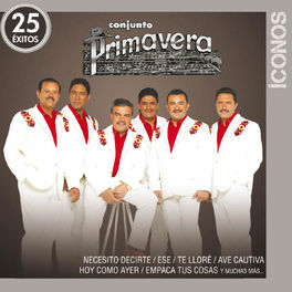Album cover of Íconos 25 Éxitos