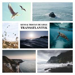 Album cover of Transatlantyk