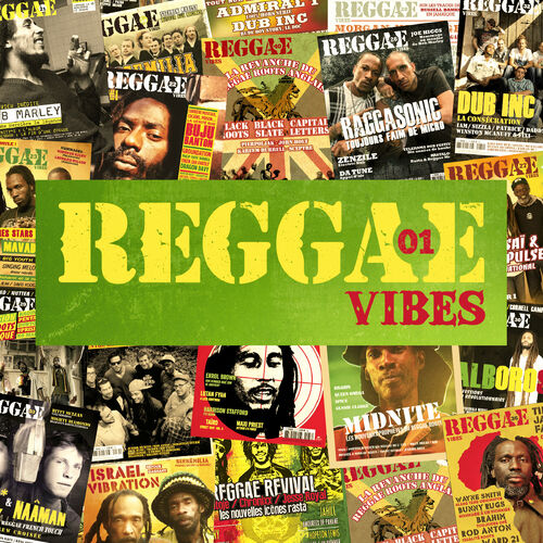 Various Artists - Reggae Vibes : chansons et paroles | Deezer