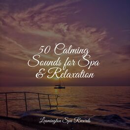 Album cover of 50 Calming Sounds for Spa & Relaxation
