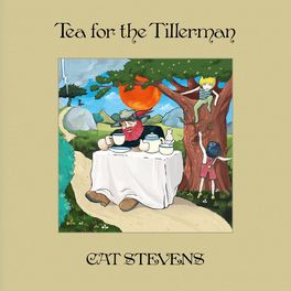 Album cover of Tea For The Tillerman (Super Deluxe)