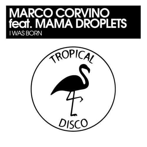 Tropical Disco Records